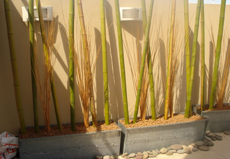 Diseño de espacios verdes en terrazas