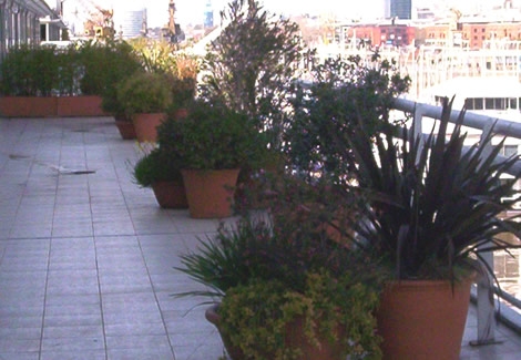 Disñeo de espacios verdes en terraza de puerto madero